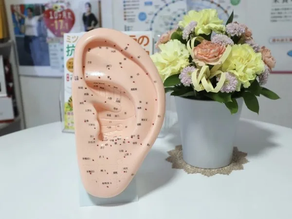 耳ツボダイエットサロン Bio