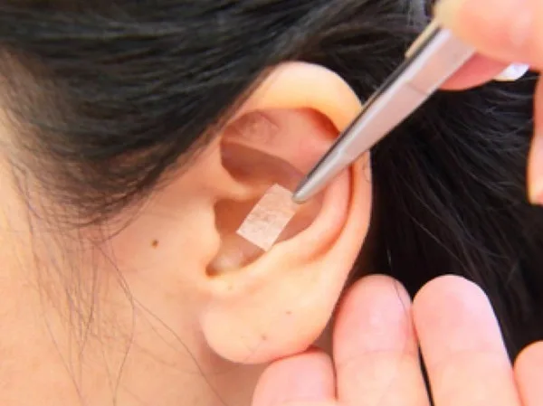 健康美と癒しのサロン ここセラ