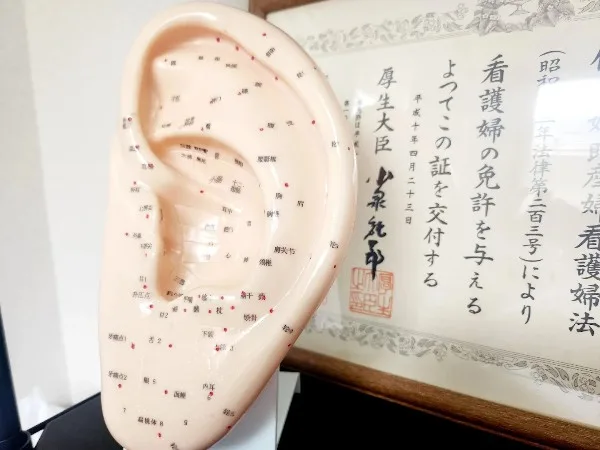 耳ツボダイエットサロン アイビー